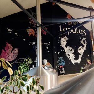 lupulus-brewer